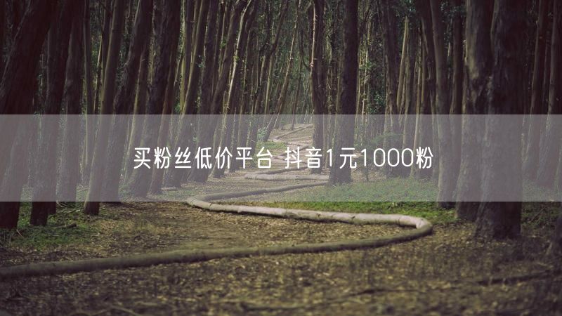 买粉丝低价平台 抖音1元1000粉