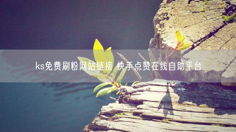 ks免费刷粉网站链接 快手点赞在线自助平台
