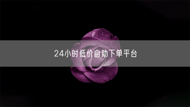 24小时低价自助下单平台