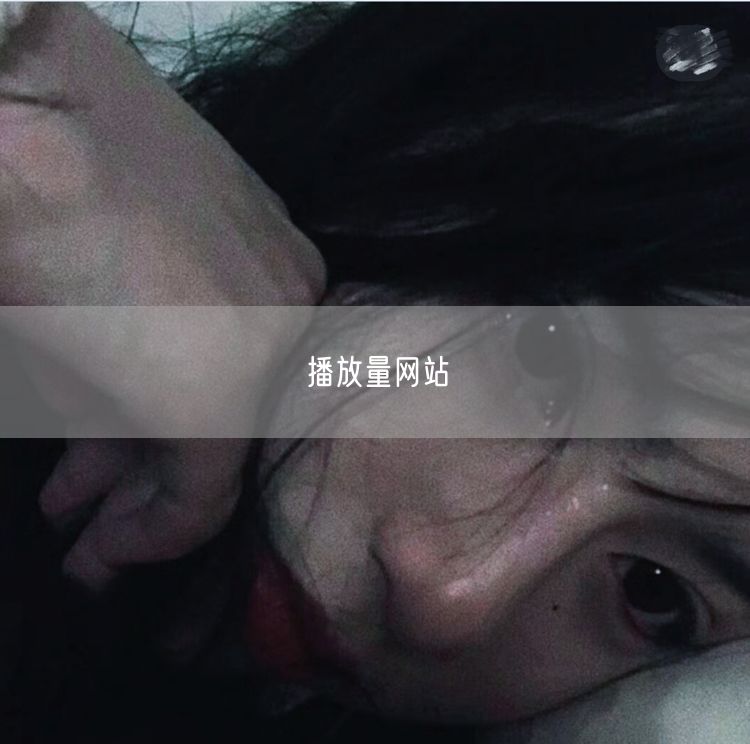 播放量网站