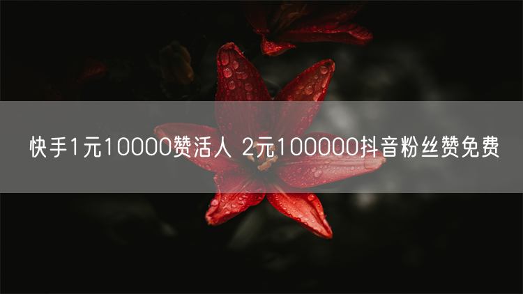 快手1元10000赞活人 2元100000抖音粉丝赞免费