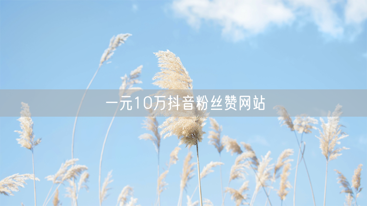一元10万抖音粉丝赞网站