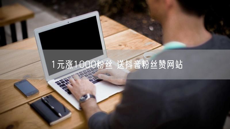1元涨1000粉丝 送抖音粉丝赞网站