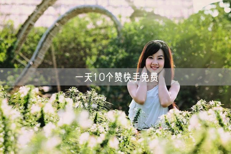 一天10个赞快手免费