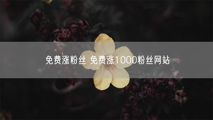 免费涨粉丝 免费涨1000粉丝网站