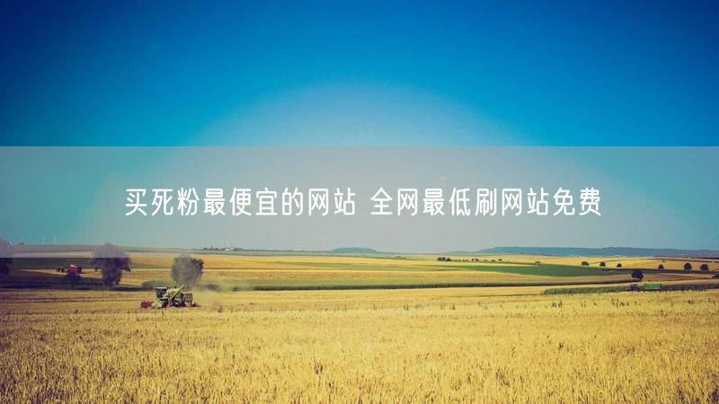 买死粉最便宜的网站 全网最低刷网站免费