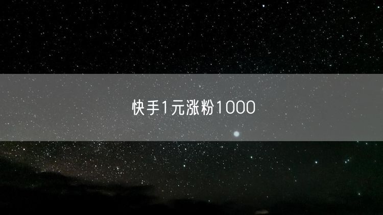 快手1元涨粉1000