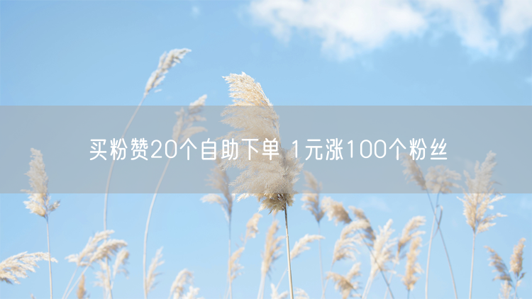 买粉赞20个自助下单 1元涨100个粉丝