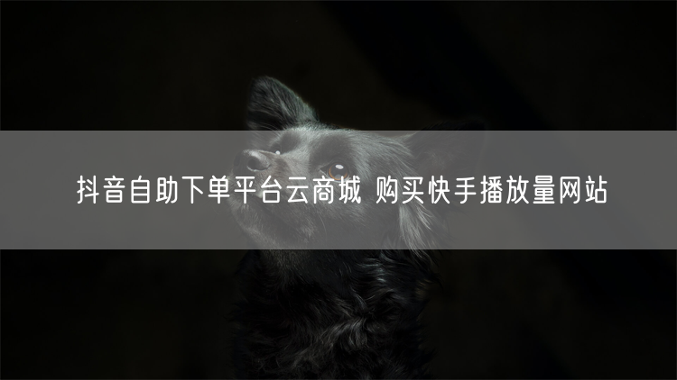 抖音自助下单平台云商城 购买快手播放量网站