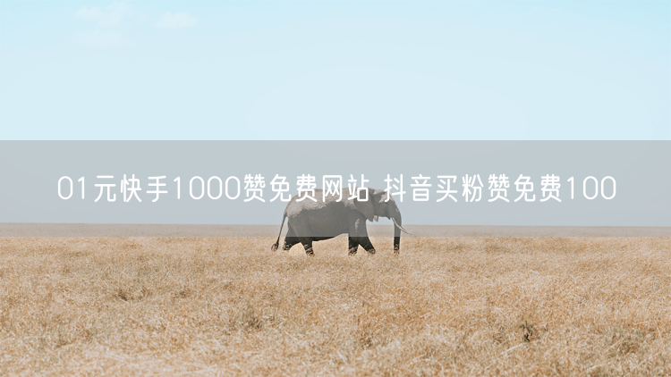 01元快手1000赞免费网站 抖音买粉赞免费100