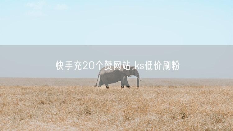 快手充20个赞网站 ks低价刷粉