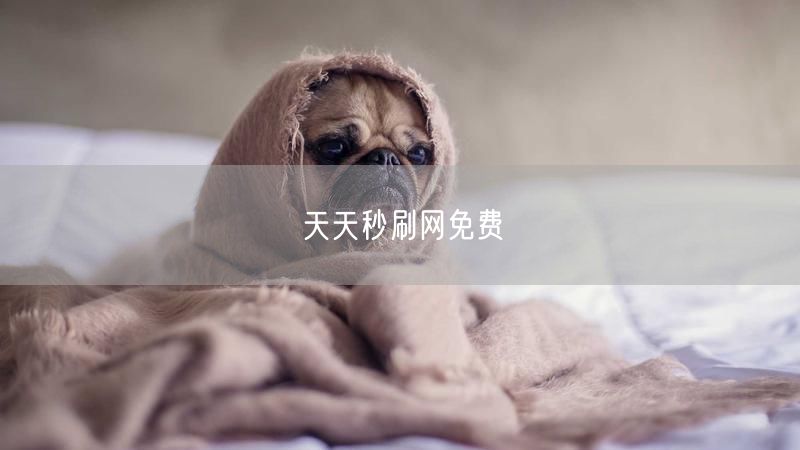 天天秒刷网免费