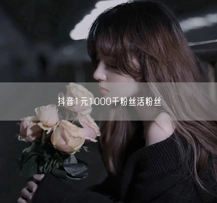 抖音1元1000千粉丝活粉丝