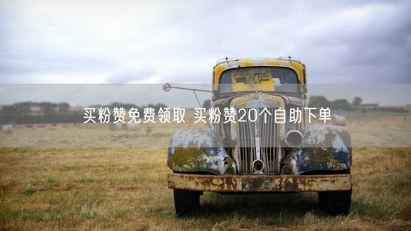 买粉赞免费领取 买粉赞20个自助下单