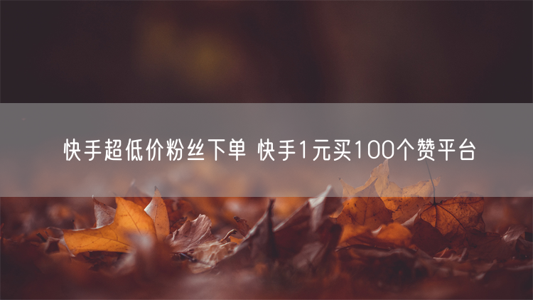 快手超低价粉丝下单 快手1元买100个赞平台