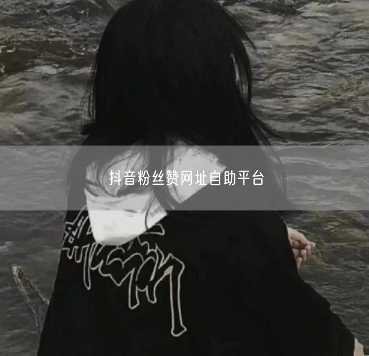 抖音粉丝赞网址自助平台