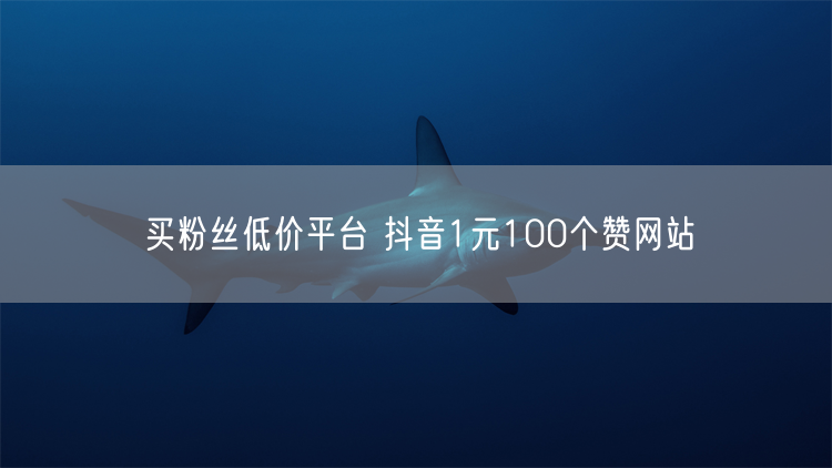 买粉丝低价平台 抖音1元100个赞网站