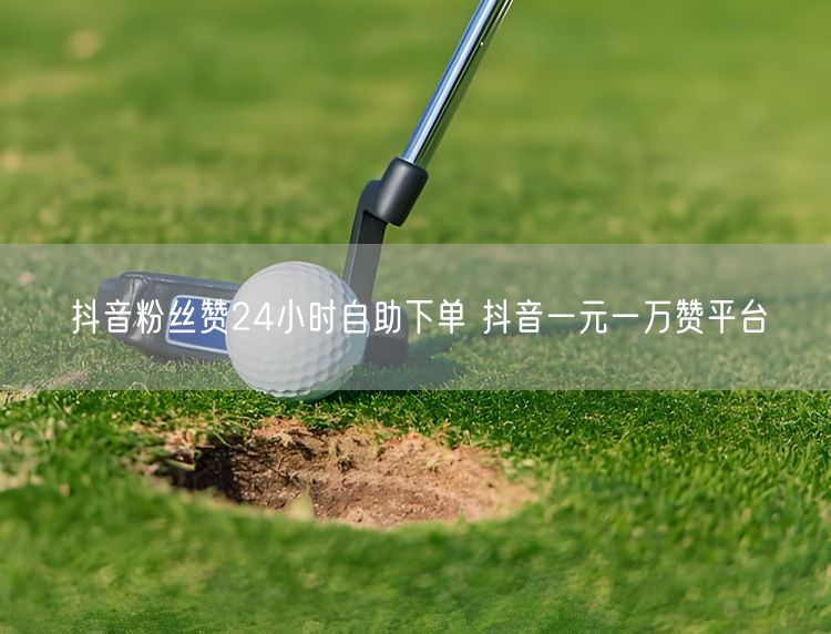 抖音粉丝赞24小时自助下单 抖音一元一万赞平台