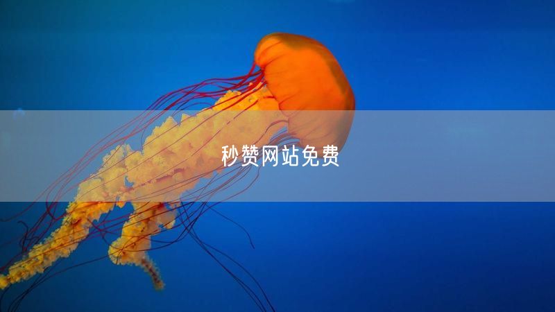 秒赞网站免费
