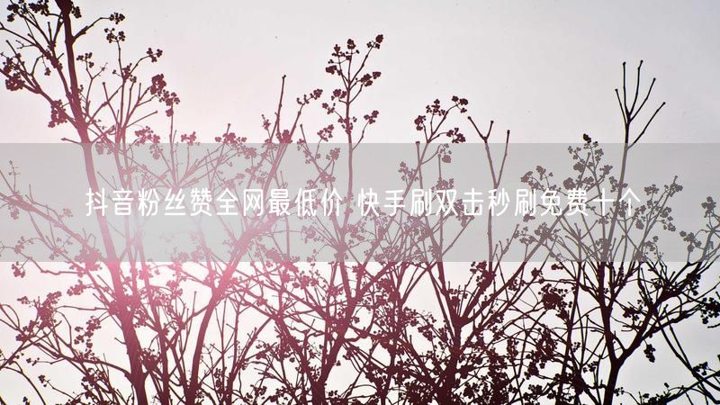 抖音粉丝赞全网最低价 快手刷双击秒刷免费十个