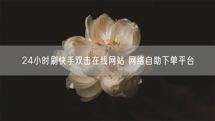 24小时刷快手双击在线网站 网络自助下单平台