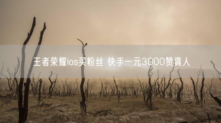 王者荣耀ios买粉丝 快手一元3000赞真人