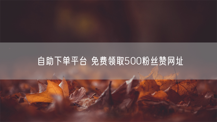 自助下单平台 免费领取500粉丝赞网址