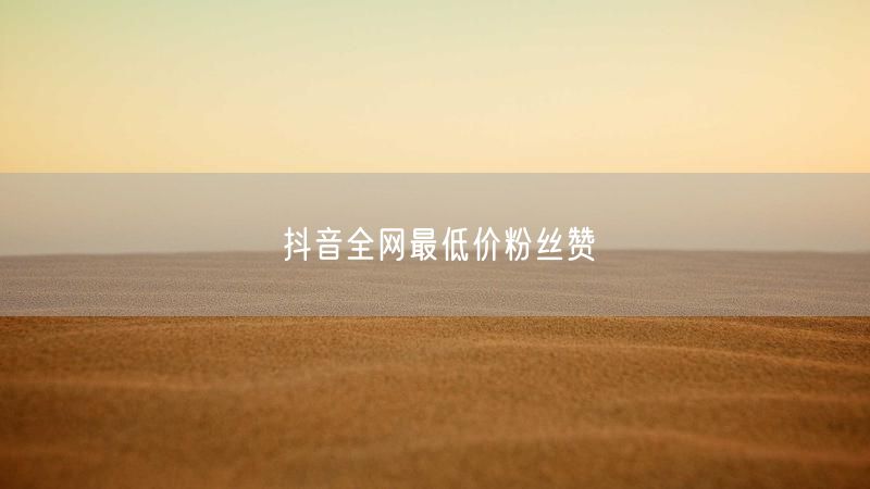 抖音全网最低价粉丝赞