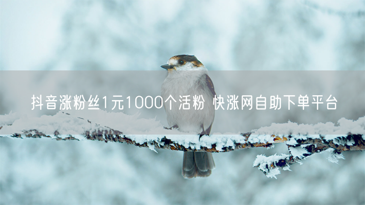 抖音涨粉丝1元1000个活粉 快涨网自助下单平台