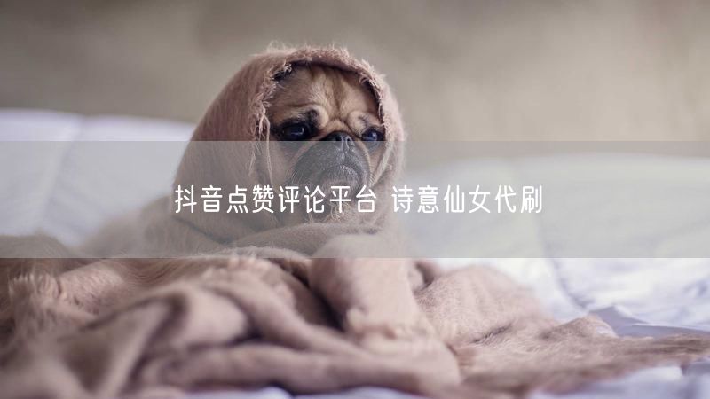 抖音点赞评论平台 诗意仙女代刷