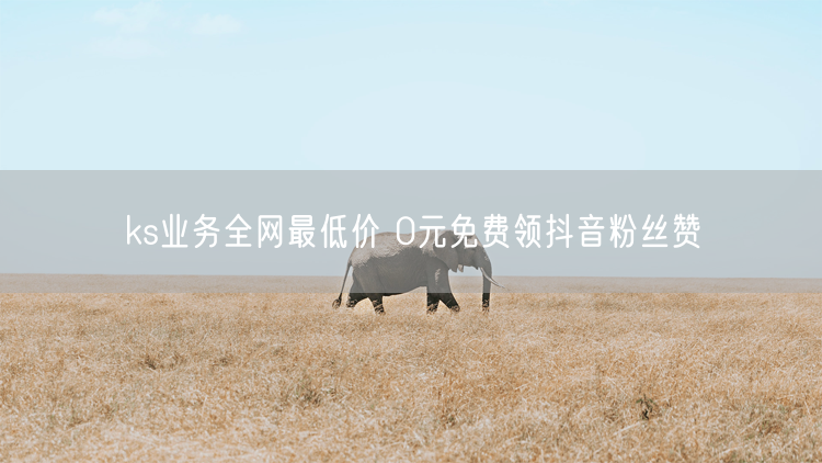 ks业务全网最低价 0元免费领抖音粉丝赞