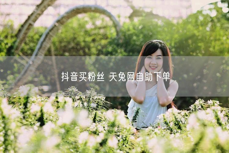 抖音买粉丝 天兔网自助下单