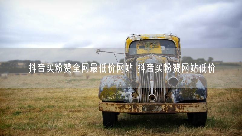 抖音买粉赞全网最低价网站 抖音买粉赞网站低价