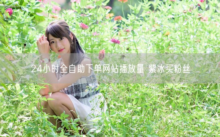 24小时全自助下单网站播放量 紫冰买粉丝