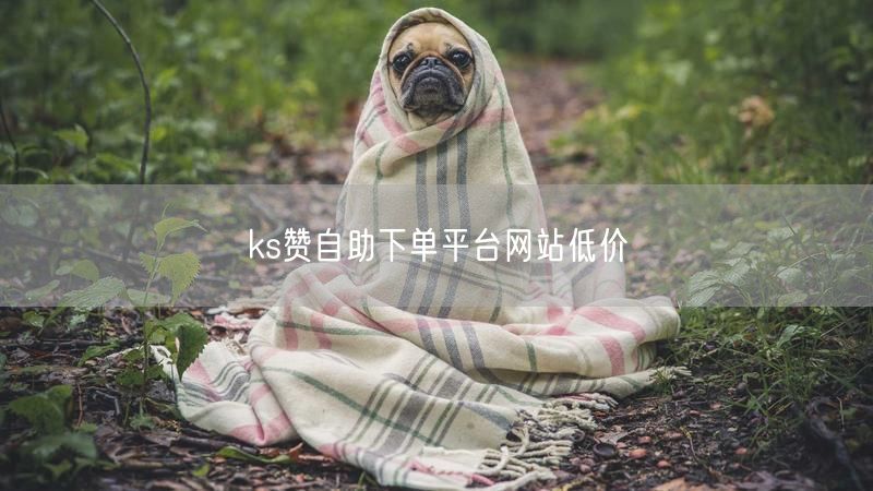 ks赞自助下单平台网站低价
