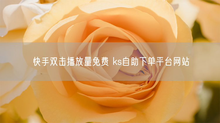 快手双击播放量免费 ks自助下单平台网站