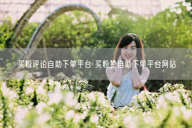 买粉评论自助下单平台 买粉赞自助下单平台网站