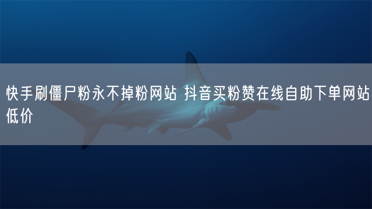 快手刷僵尸粉永不掉粉网站 抖音买粉赞在线自助下单网站低价