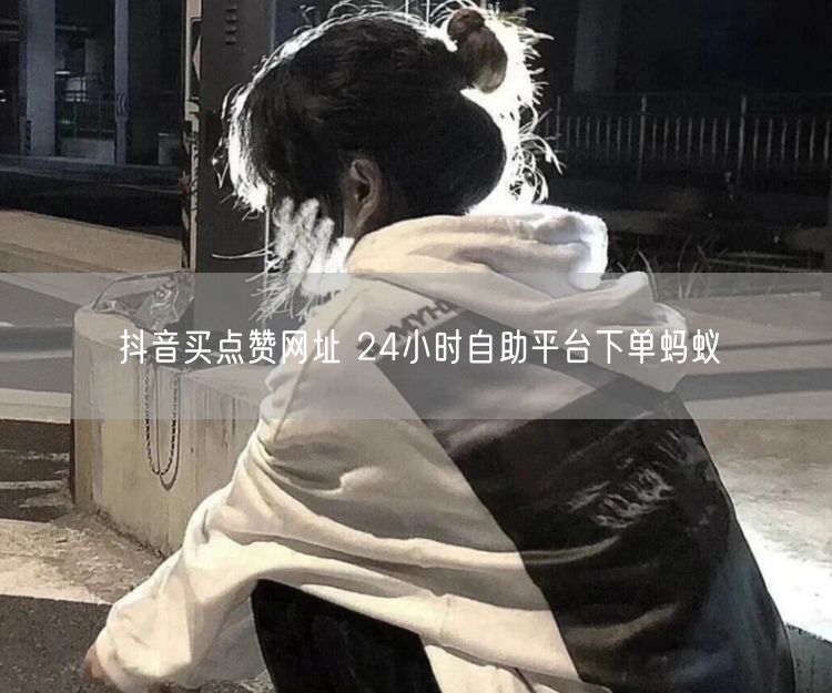 抖音买点赞网址 24小时自助平台下单蚂蚁