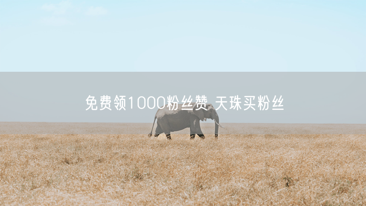 免费领1000粉丝赞 天珠买粉丝
