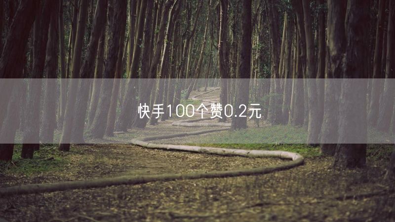 快手100个赞0.2元