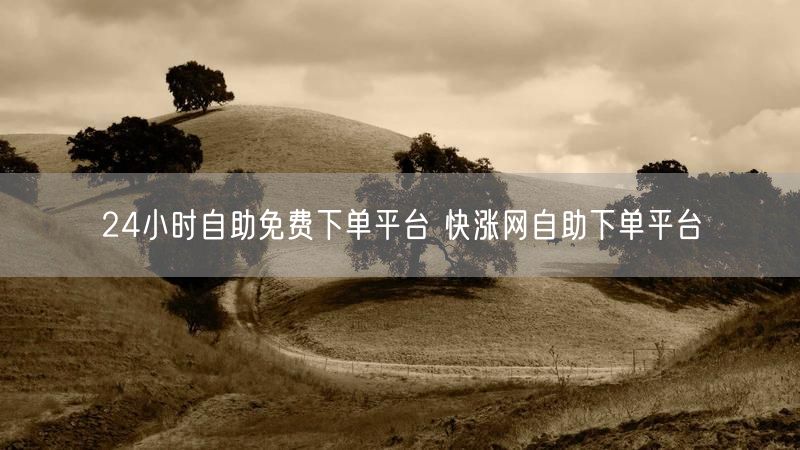 24小时自助免费下单平台 快涨网自助下单平台