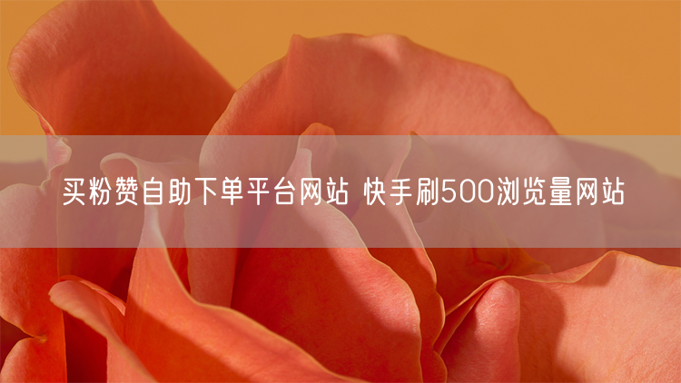 买粉赞自助下单平台网站 快手刷500浏览量网站