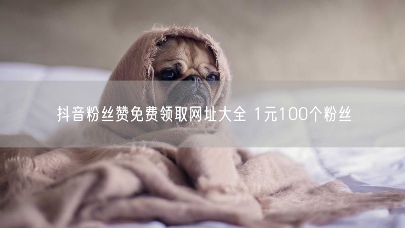 抖音粉丝赞免费领取网址大全 1元100个粉丝
