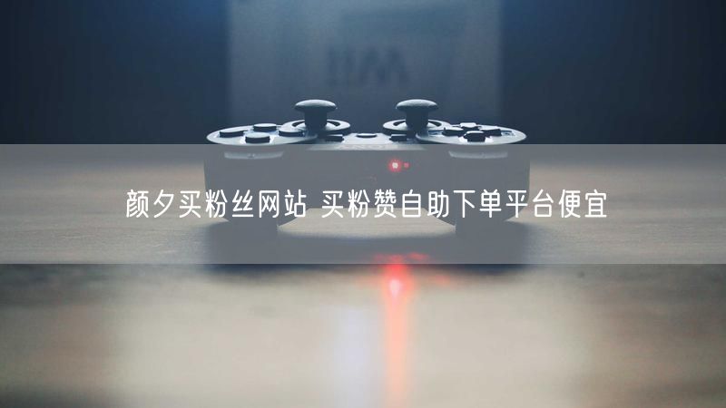 颜夕买粉丝网站 买粉赞自助下单平台便宜