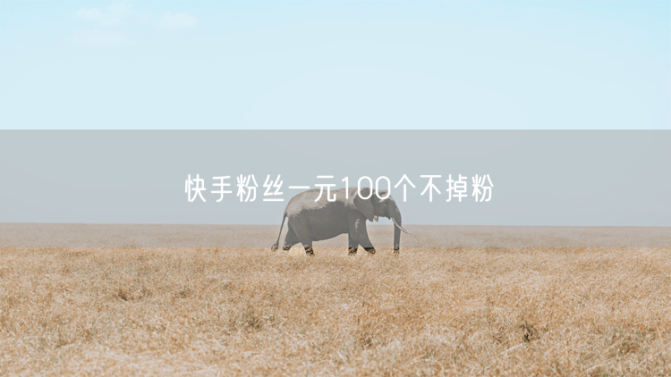 快手粉丝一元100个不掉粉