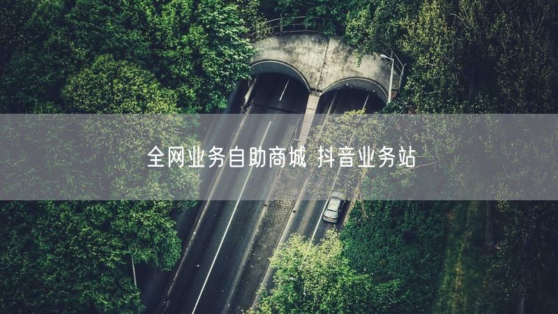 全网业务自助商城 抖音业务站