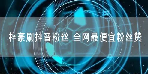 梓豪刷抖音粉丝 全网最便宜粉丝赞