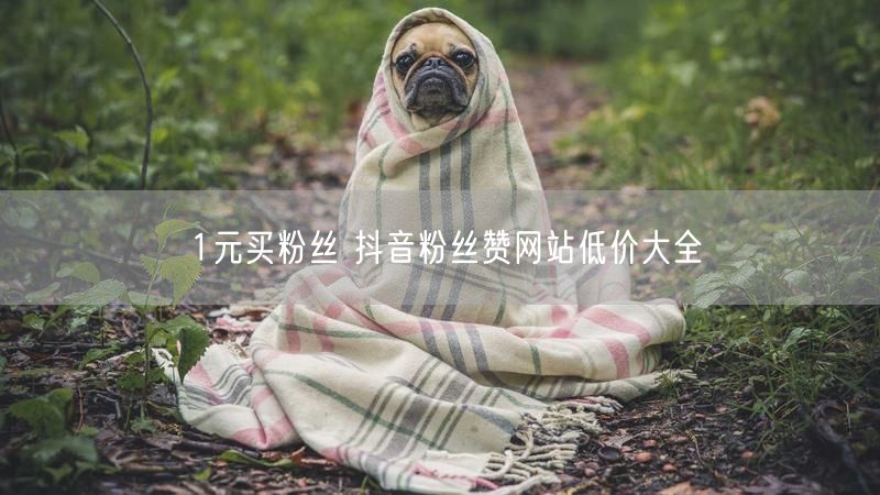 1元买粉丝 抖音粉丝赞网站低价大全