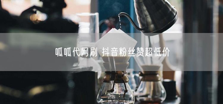 呱呱代网刷 抖音粉丝赞超低价